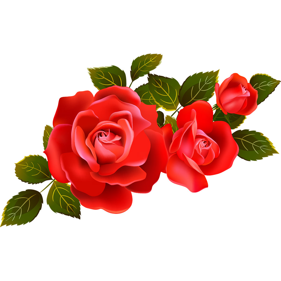 clipart gratuit bouquet de roses - photo #50